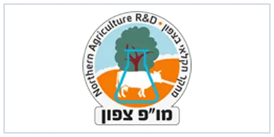 תיאור התמונה